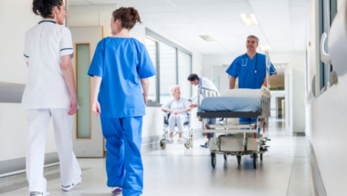 Emergency Bed Bug Removal Near Me: What to Expect