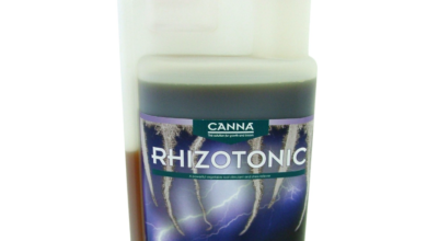 the Power of Canna Rhizotonic: Root Growth Like Never Before