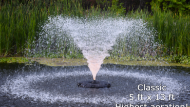 Transform Your Outdoor Space: How a Fountain Becomes Your Ultimate Focal Point