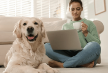 The Role Of Dog Training Services In Shaping Obedient And Happy Pets