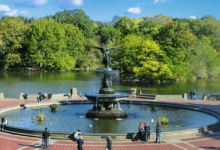 Top 3 Fantastic Travel Attractions in New York