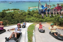 Top Reasons to Book Your Singapore - Malaysia Combine Trip with Flamingo Travels
