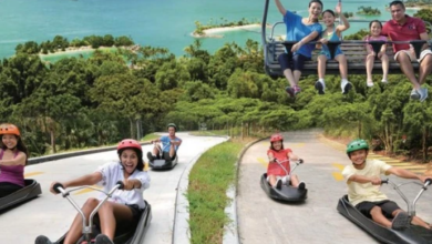 Top Reasons to Book Your Singapore - Malaysia Combine Trip with Flamingo Travels