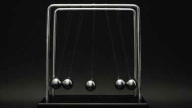 apex neural momentum beam