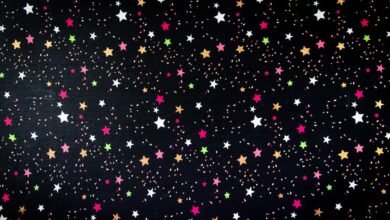 dynamic nova surge vector