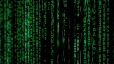 international lookup for number