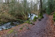 nova flow performance analysis