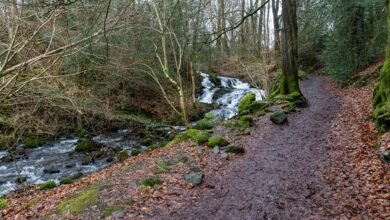 nova flow performance analysis