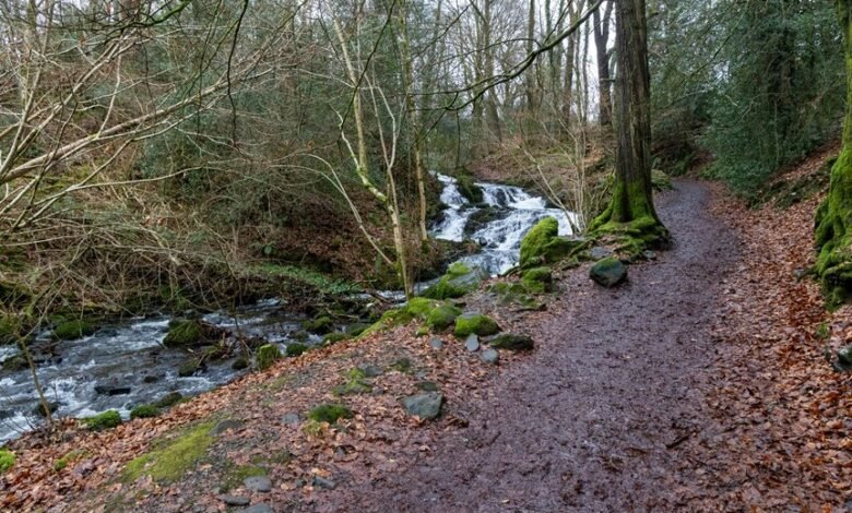 nova flow performance analysis