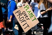 profit expansion strategy success