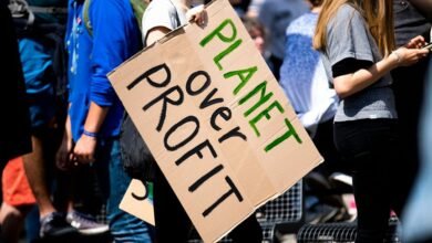 profit expansion strategy success