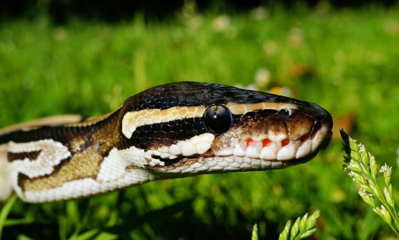 smart scaling performance analysis