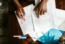 wpl y account insights overview