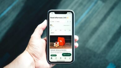 elevate digital growth online services
