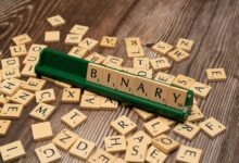 language and encoding scan summary