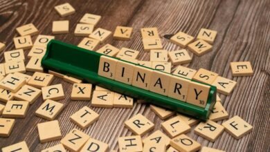 language and encoding scan summary