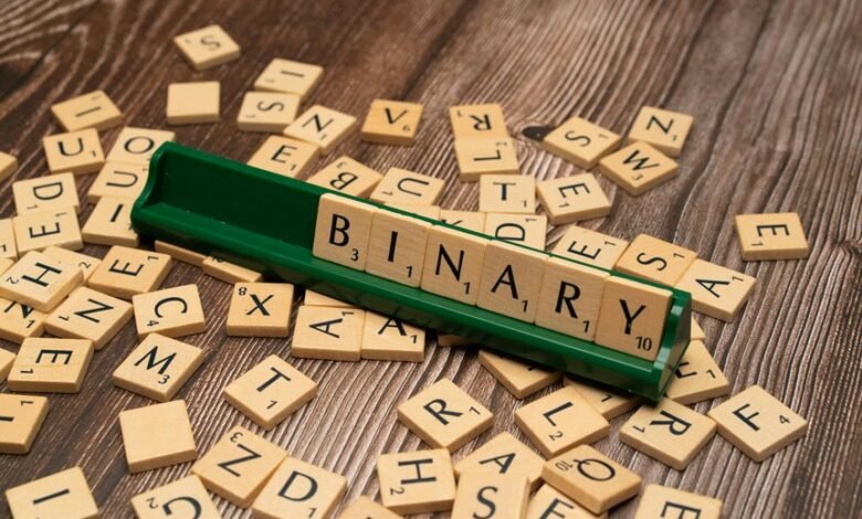 language and encoding scan summary