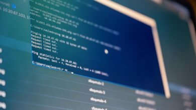 web and system analysis details include ip and credentials