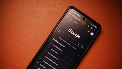 complete caller search report summary