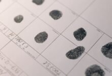 decode background records reveal identifiers
