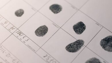 decode background records reveal identifiers