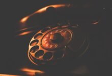 phone number lookup details for multiple numbers