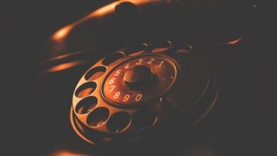 phone number lookup details for multiple numbers