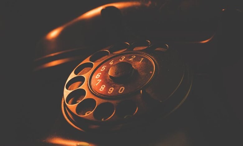 phone number lookup details for multiple numbers