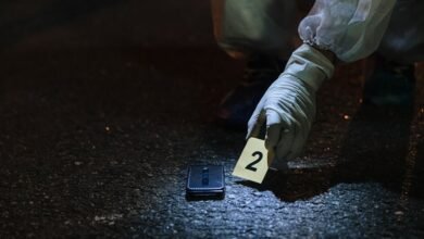 phone number lookup ids listed
