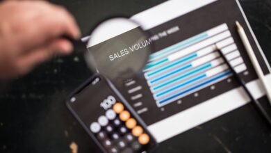 phone numbers for verification insights