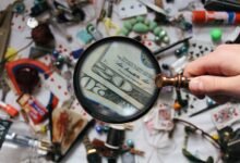 public registry findings summary