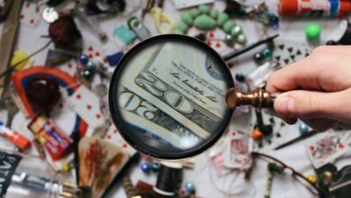 public registry findings summary