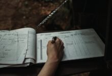 public registry records lookup results
