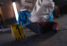 registry evidence for specific ids
