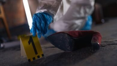 registry evidence for specific ids