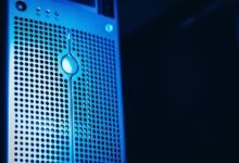 registry lookup five ids