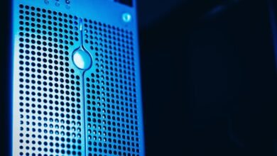 registry lookup five ids
