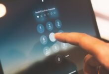 request reveals public lookup data