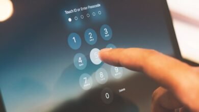 request reveals public lookup data